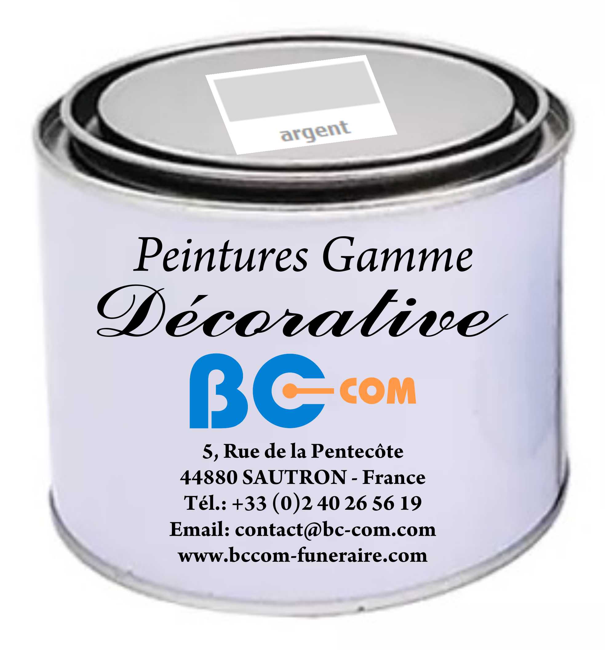 Peinture « Décorative » - Couleur : Argent - 100g