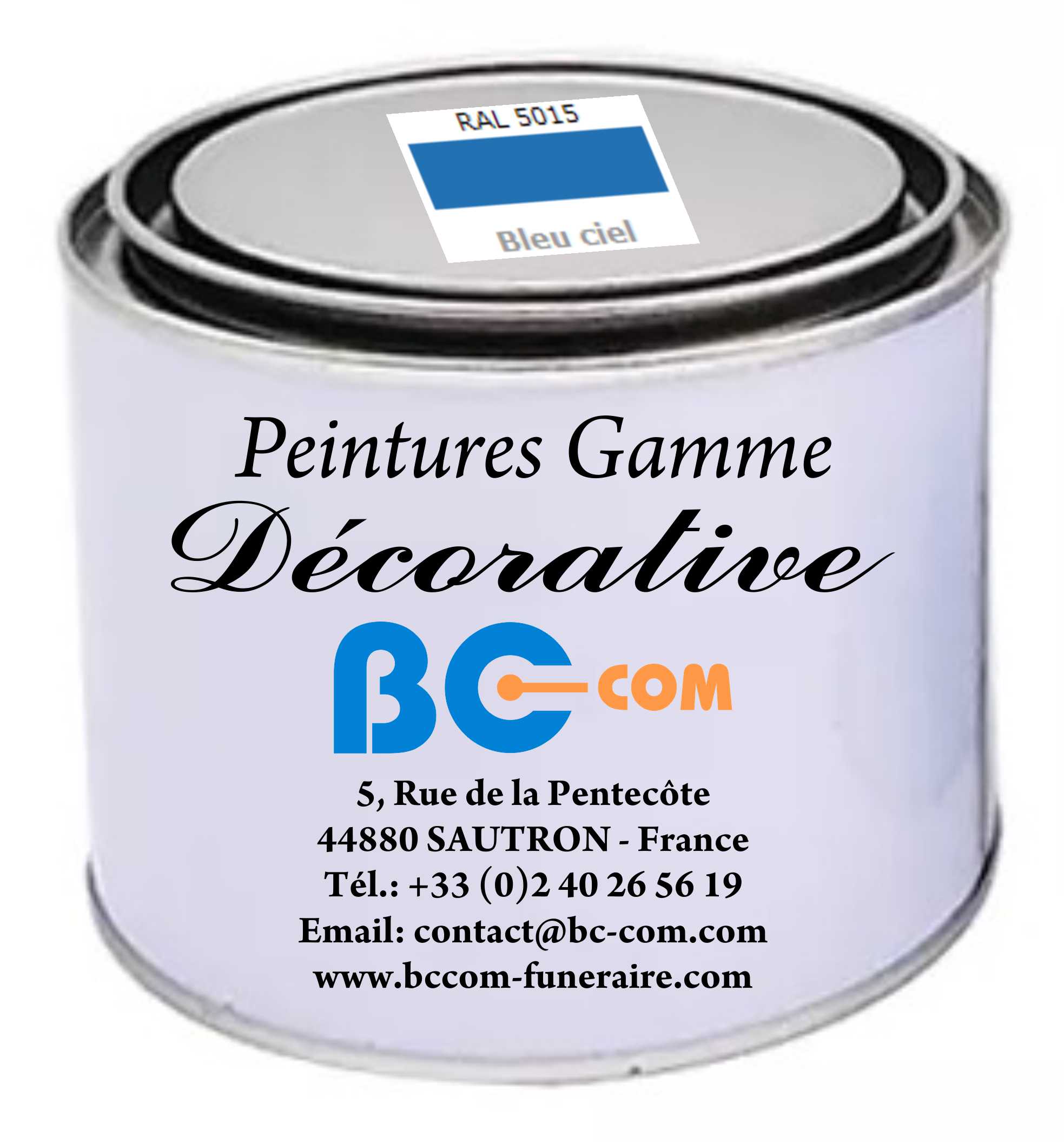 Peinture « Décorative » - Couleur : Argent - 100g – Image 4