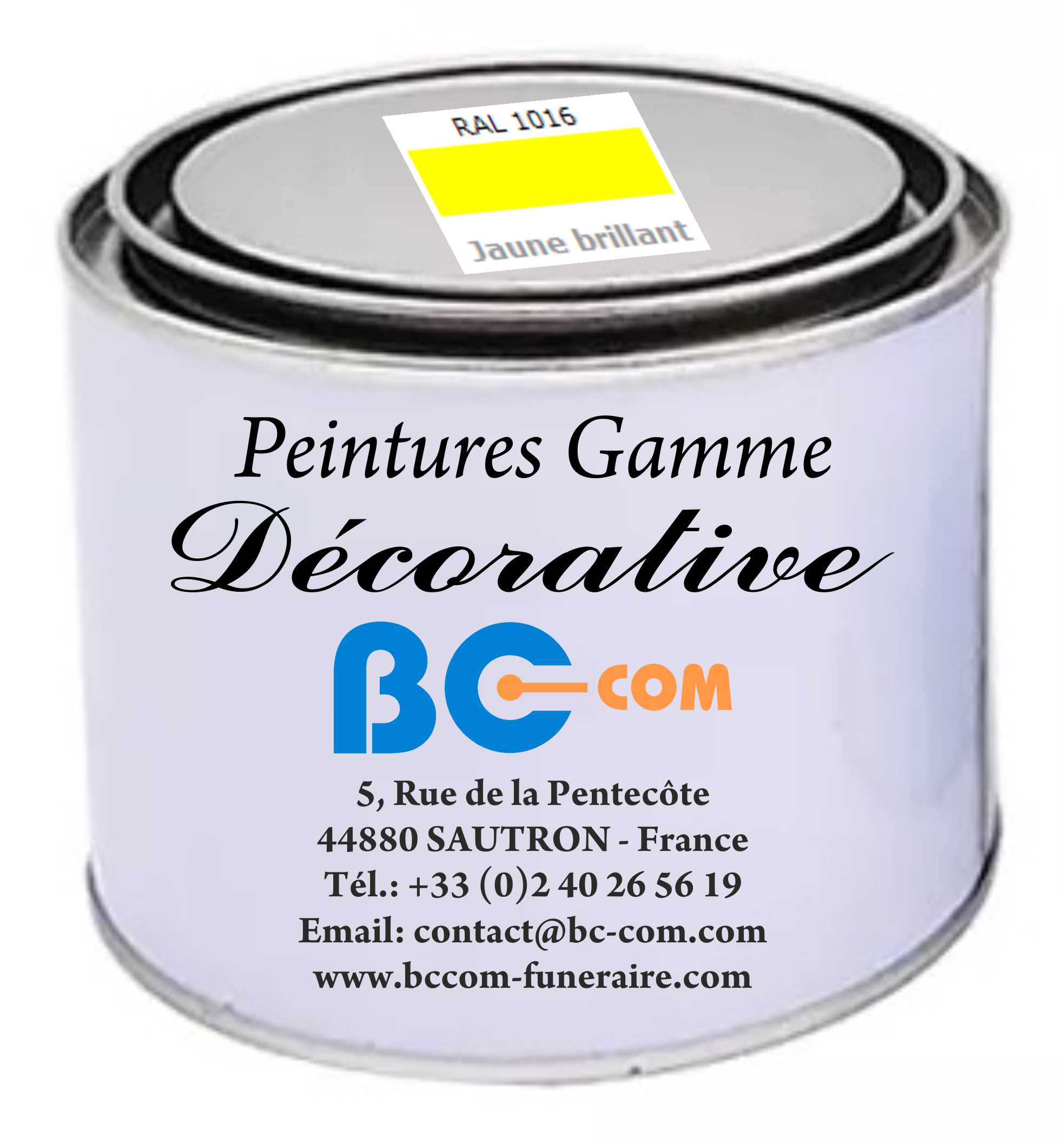 Peinture « Décorative » - Couleur : Argent - 100g – Image 6