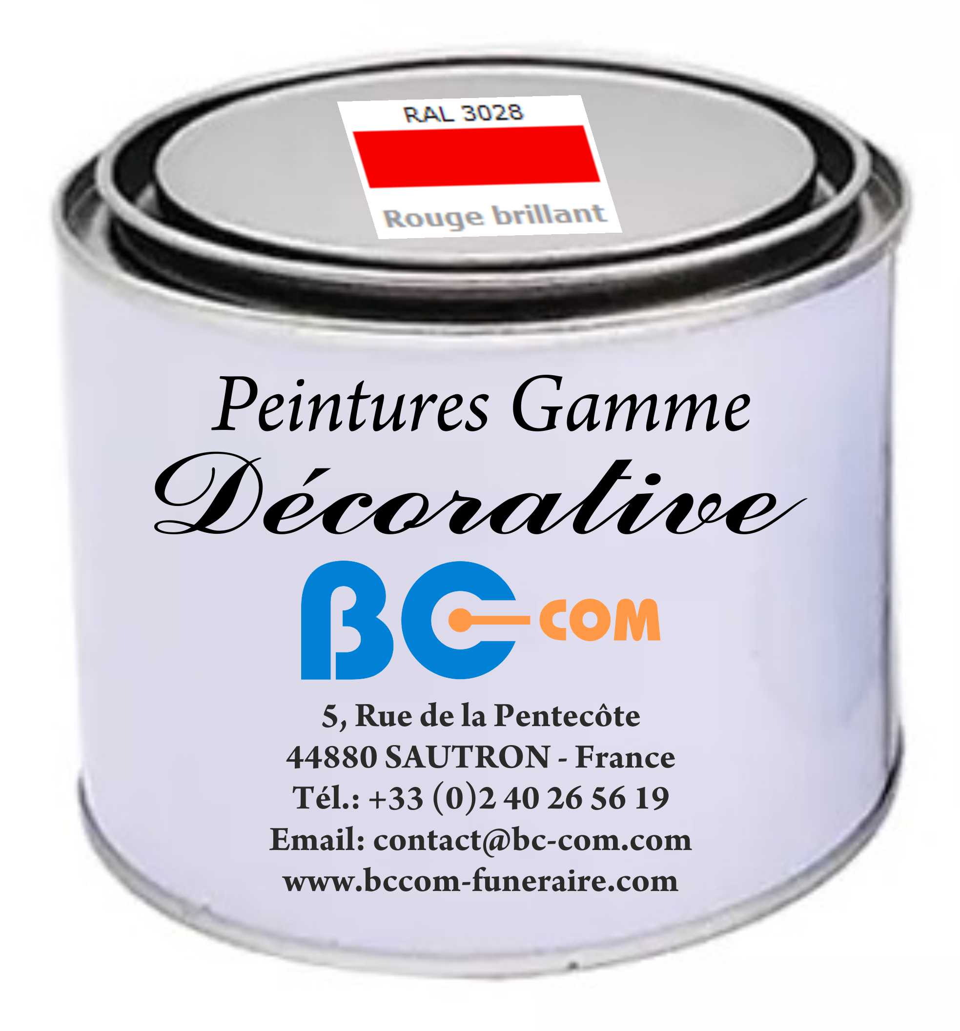 Peinture « Décorative » - Couleur : Argent - 100g – Image 10